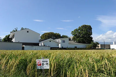 醸造用玄米「雄町～おまち～」が神奈川県の産地品種銘柄に登録されました